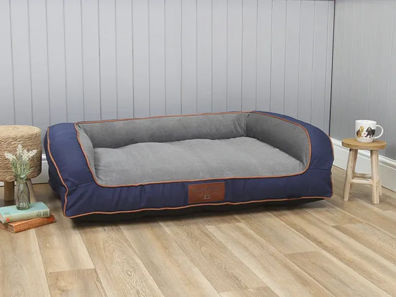 George Barclay Savile Dog Sofa Bed Mariner's Blue Large