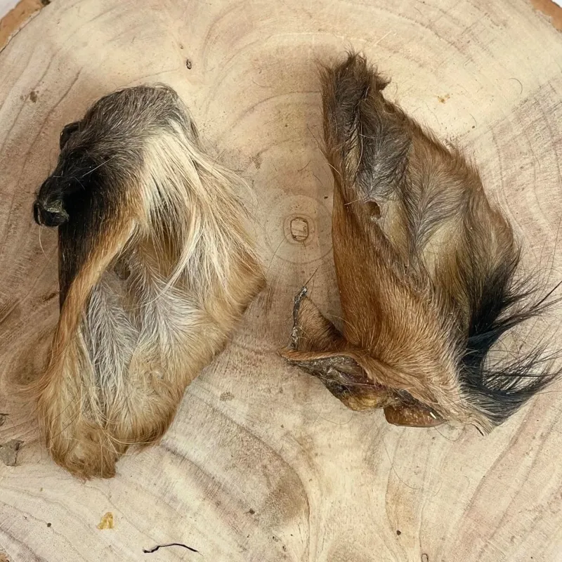 Paddock Farm Hairy Cow Ear