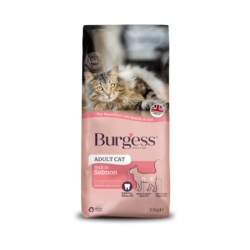 Burgess Adult Cat Scottish Salmon-2