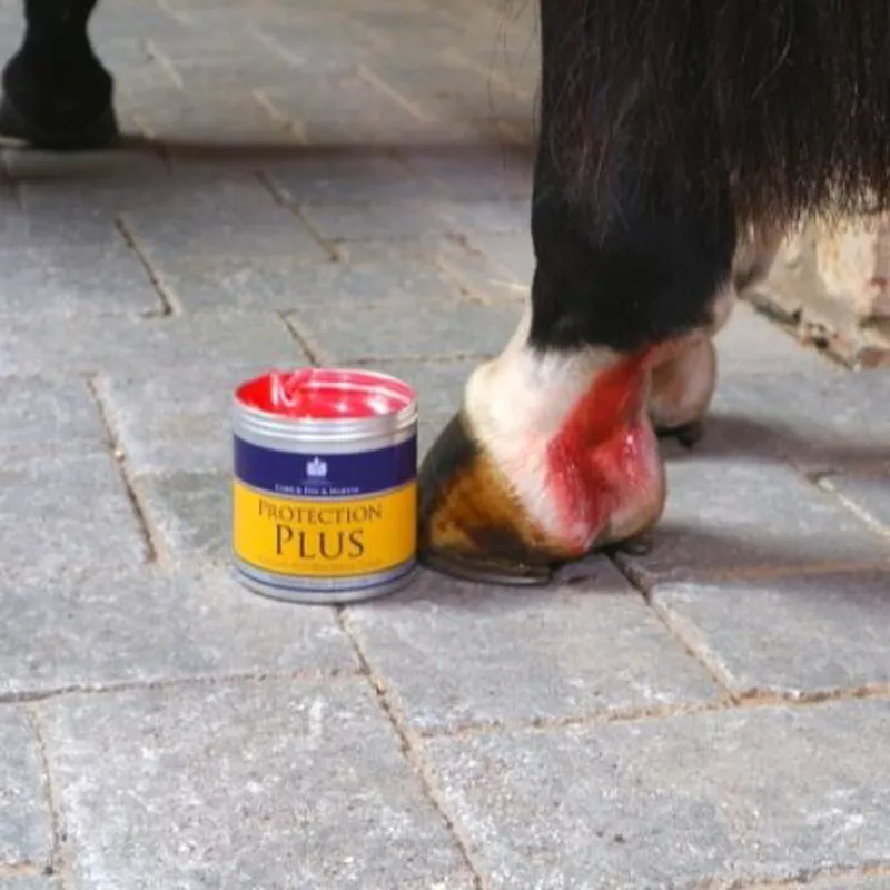 Carr and Day and Martin Protection Plus 500ml-2