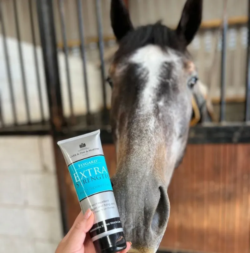 Carr and Day and Martin Flygard Extra Strength Gel 