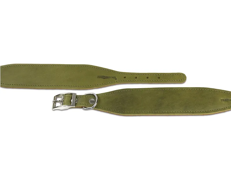 Earthbound Leather Whippet Collar Green-1