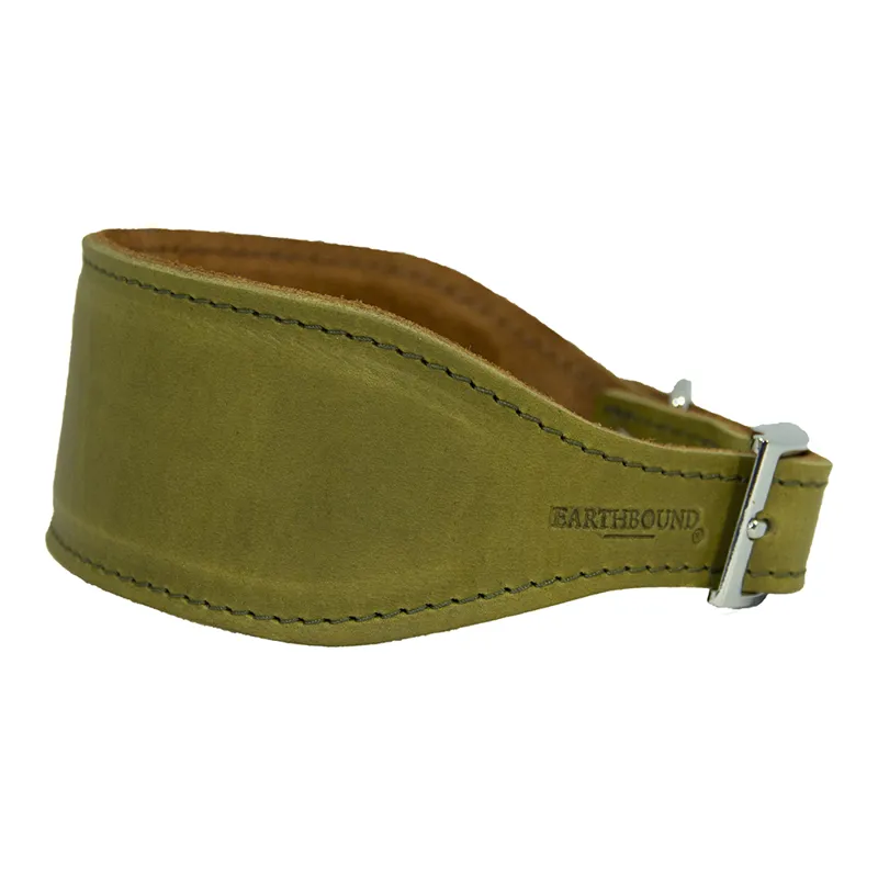 Earthbound Leather Whippet Collar Green