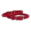 Earthbound Rolled Leather Collar Red