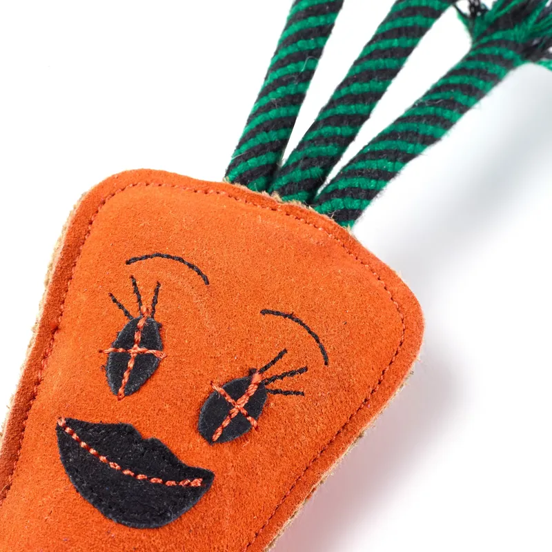 Green and Wilds Candice The Carrot Eco Dog Toy-1