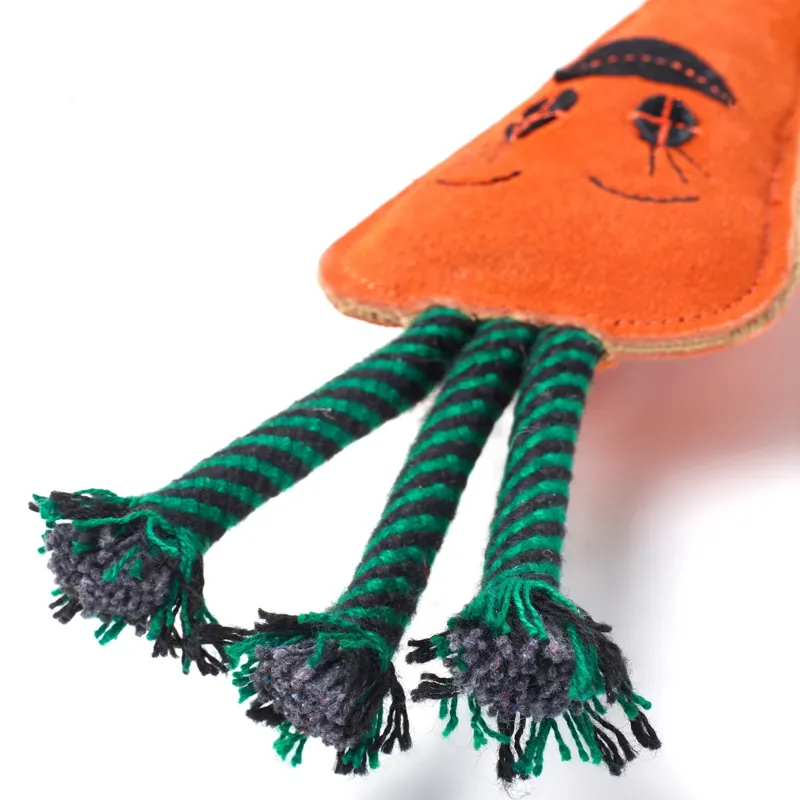 Green and Wilds Candice The Carrot Eco Dog Toy-2