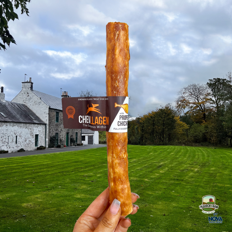 Chewllagen Chicken Roll 10in-1