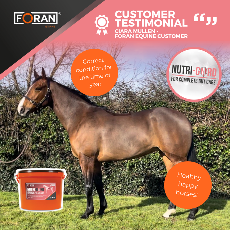 Foran Equine Nutri-Gard 1.2kg-1
