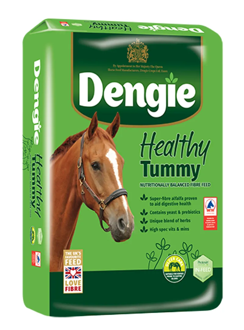 Dengie Healthy Tummy