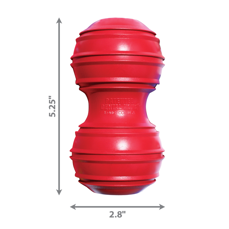 KONG Dental Large-1