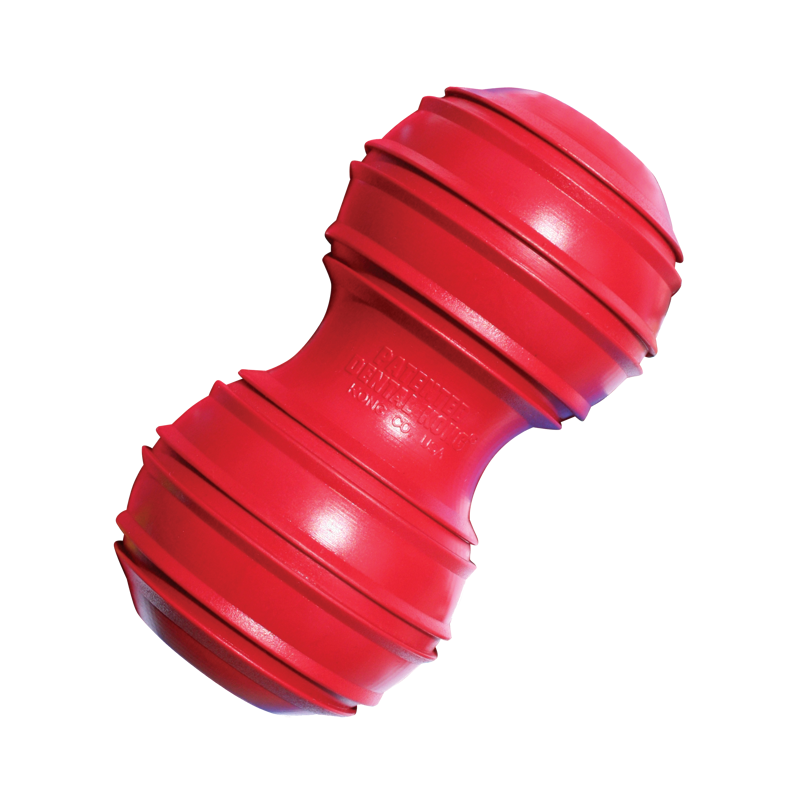 KONG Dental Large