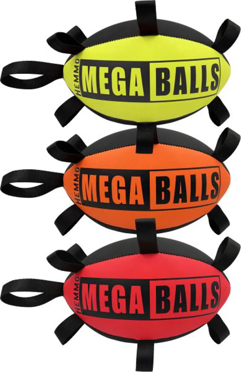 Dog and Co Pick Me Up Rugby Ball Assorted