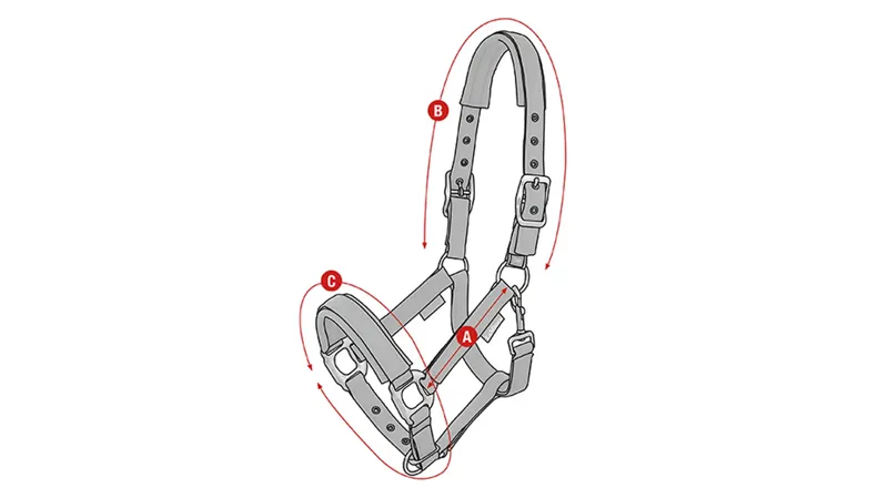 LeMieux Logo Headcollar Lagoon-2