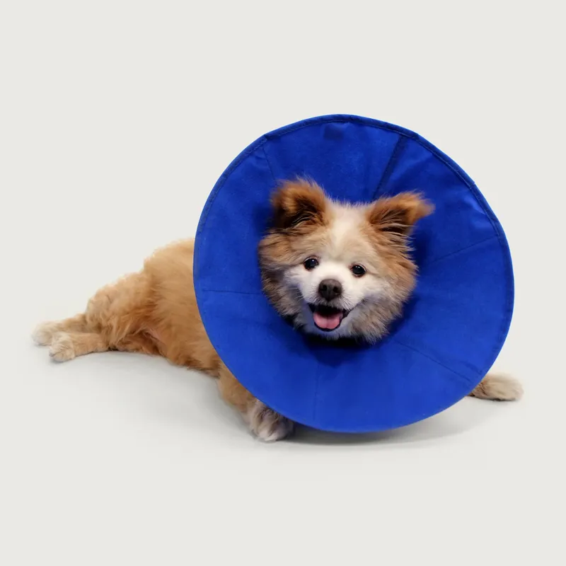 KVP Vet EZ Soft Neck Collar Blue 30-50cm-2