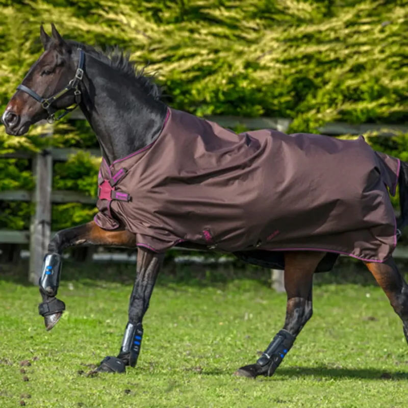 Horseware Amigo Hero Acy Lite 50g Turnout Rug