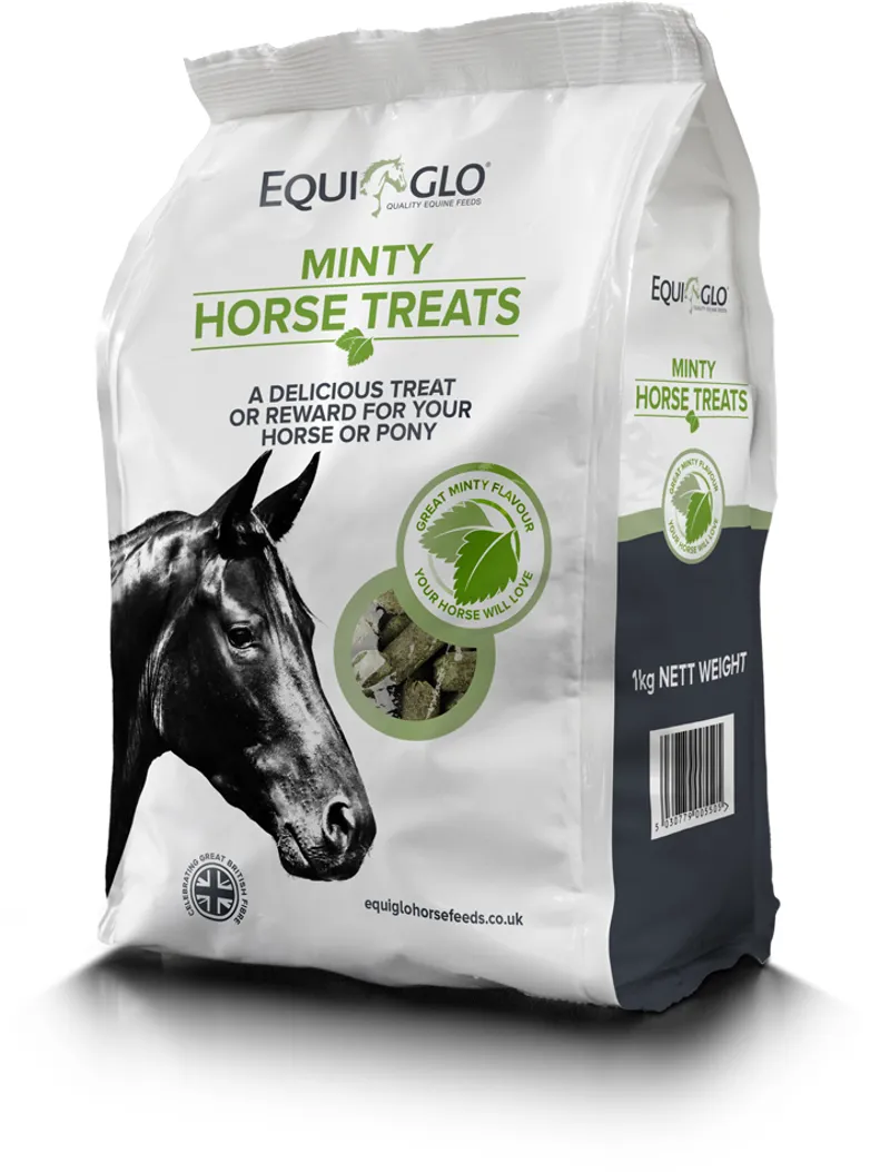 Mr. Johnson's Equiglo Minty Horse Treats 1kg