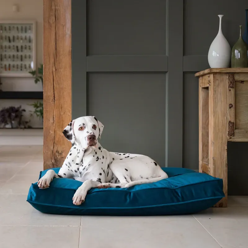 Lords + Labradors Velvet Cushion - Marine