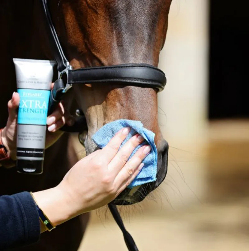 Carr and Day and Martin Flygard Extra Strength Gel -2