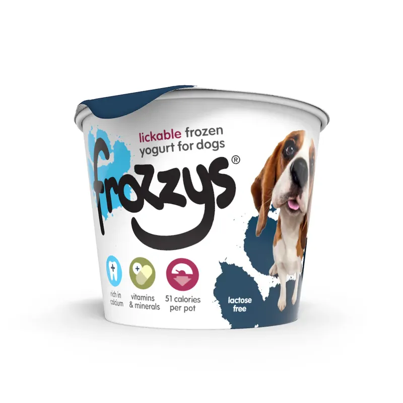 Frozzys Frozen Yogurt Blueberry-1