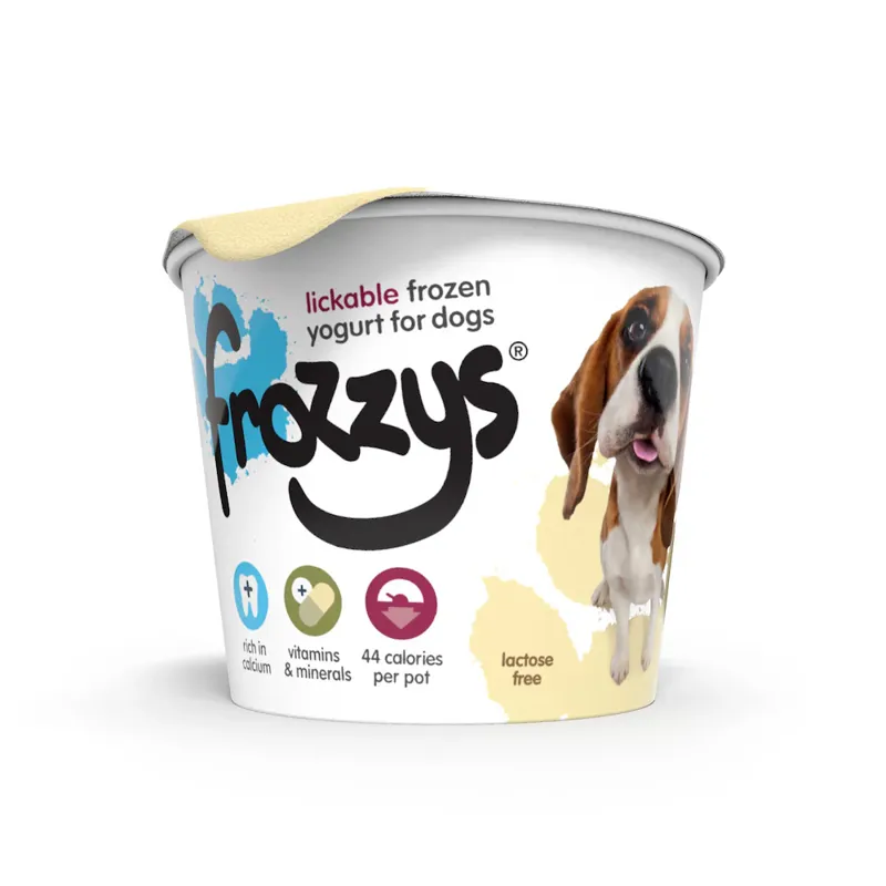 Frozzys Frozen Yogurt Original-1