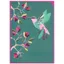 Gypsy Hummingbird Blank Card