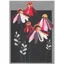 Gypsy Pink Daisies Blank Card