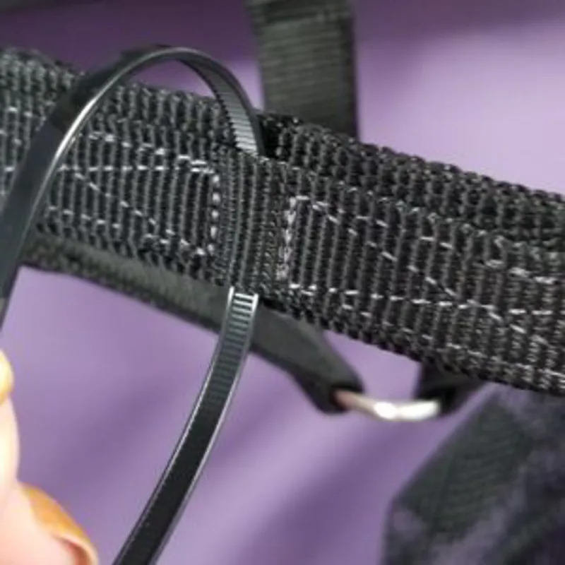 ThinLine Breakaway Field Safe Headcollar-2