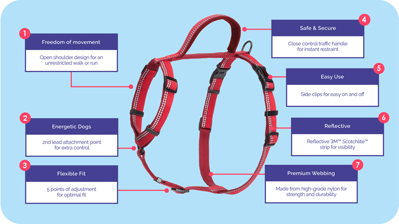 Company Of Animals Halti Walking Harness Red-1