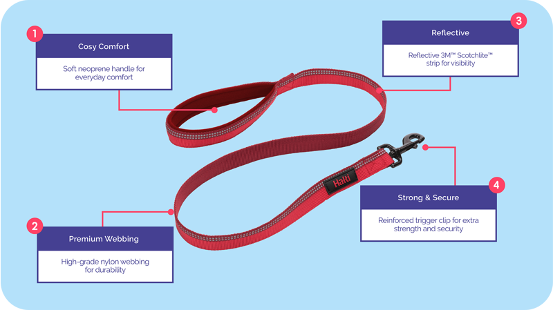 Halti Walking Lead Purple S-1