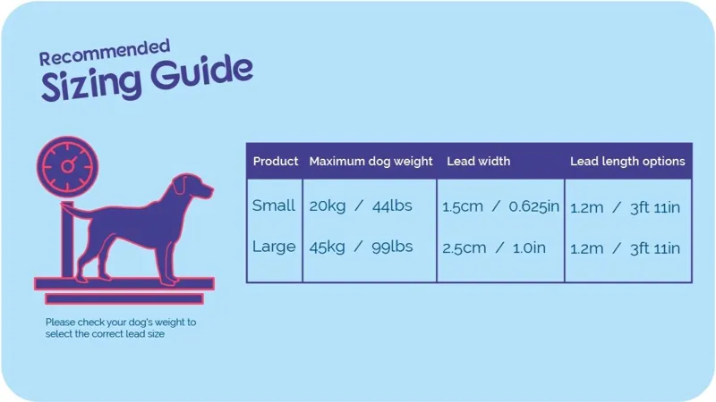 Halti Walking Lead Purple S-2