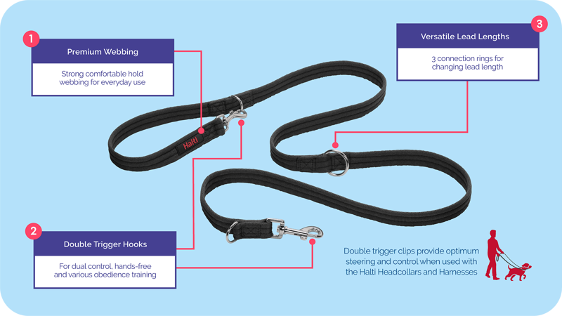 Company Of Animals Halti Training Lead Black-1