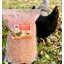 The Little Feed Co. Gastro Grit 5kg