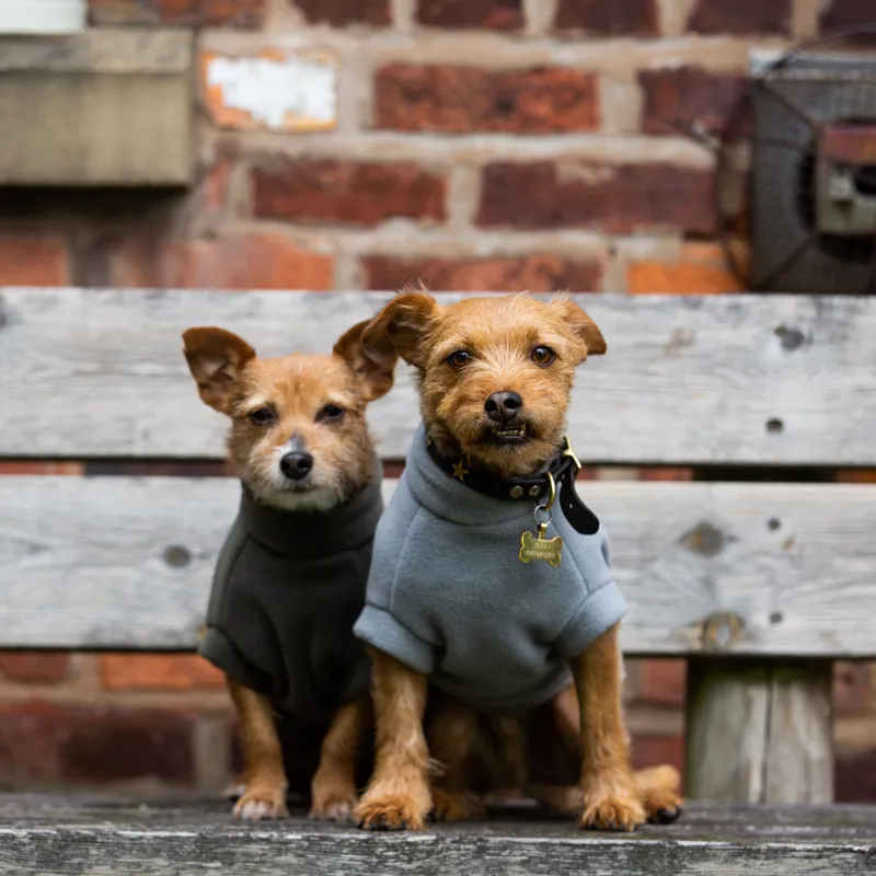 Stix Small Terrier Dog Coat