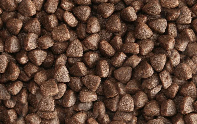 Dr. John Merlin Ferret Food-1