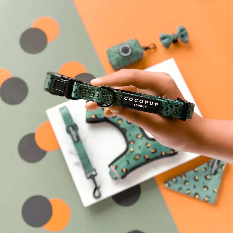 Cocopup Collar in Khaki Leopard