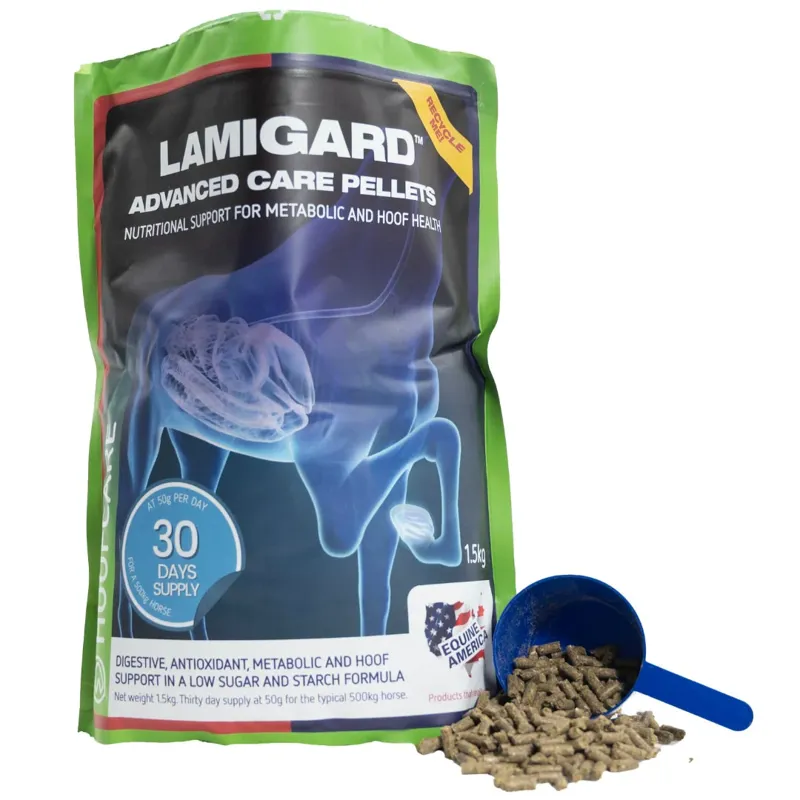 Equine America Lamigard
