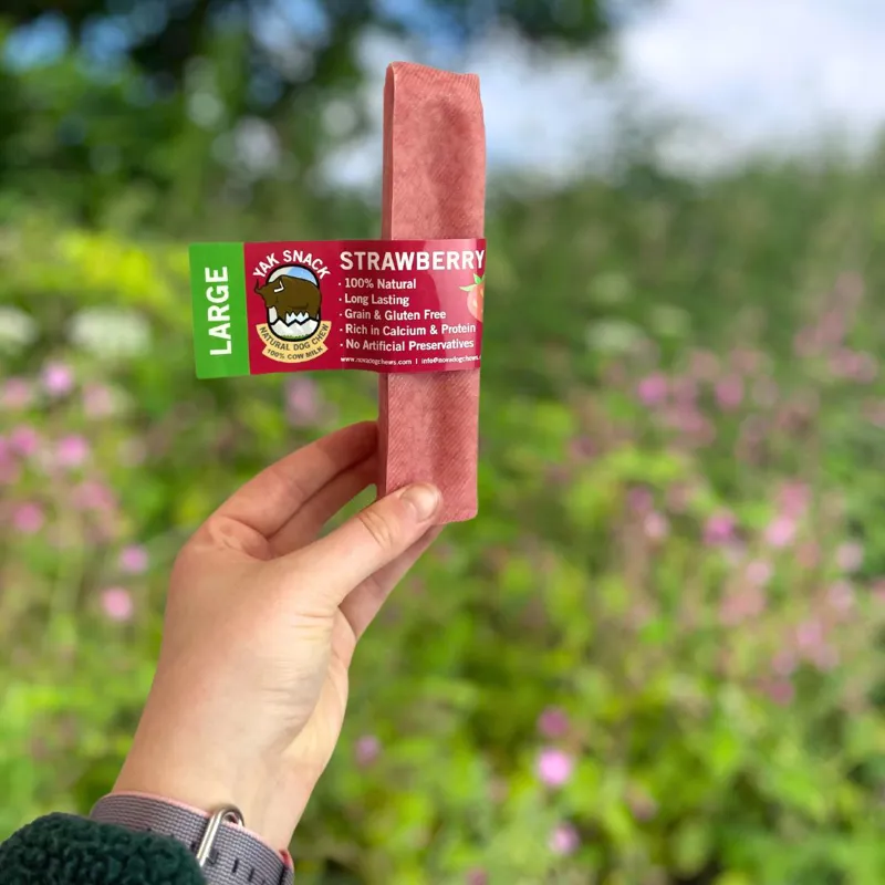Yak Snack Strawberry Large-1