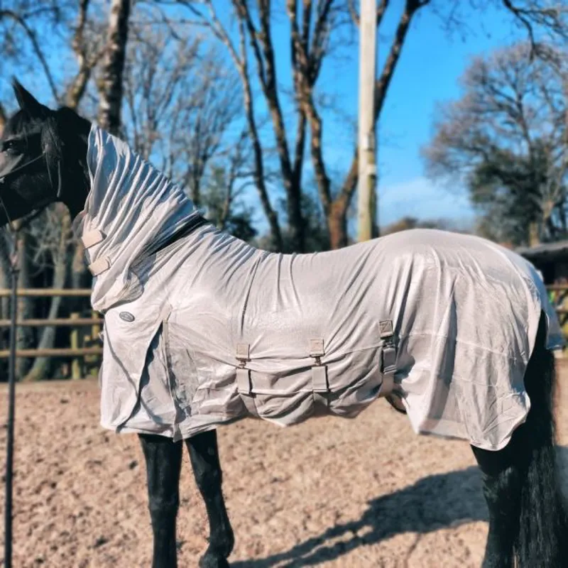Legacy Andromeda Combo Fly Rug