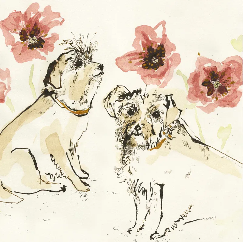 Anna Wright Terry Terriers Card