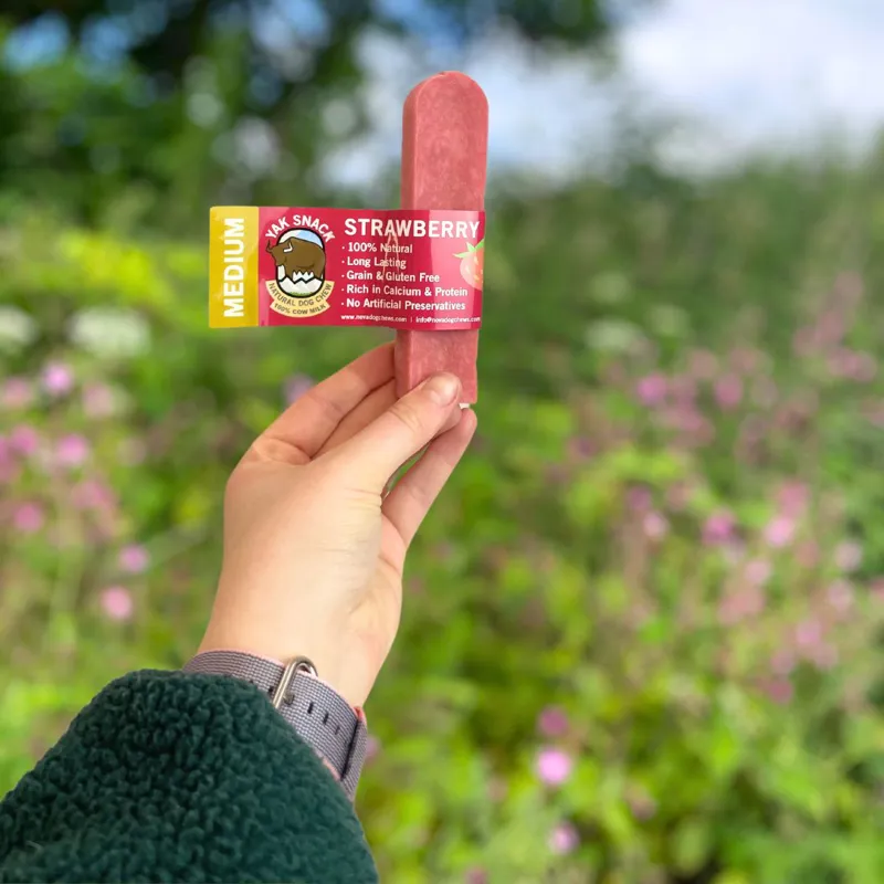 Yak Snack Strawberry Medium-1