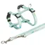 Trixie Junior Harness with Leash Mint M-L