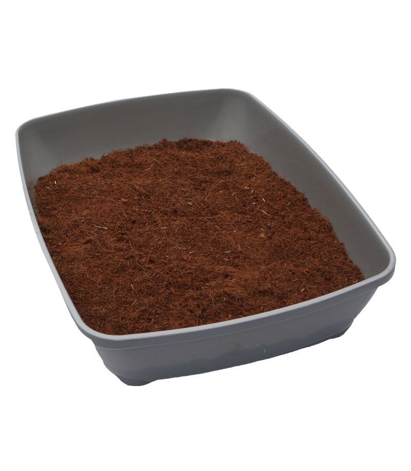 Huskaloo Coconut Cat Litter 28day-2