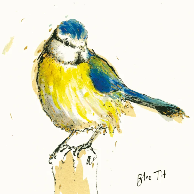 Anna Wright Blue Tit Blue Card
