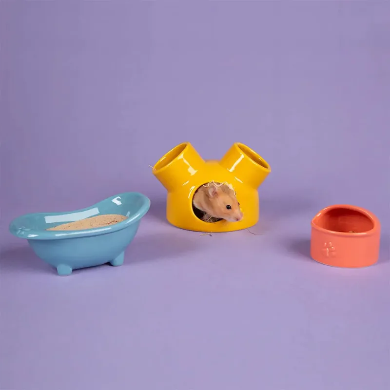 Scruffs Small Animal Ceramic Set Colours
