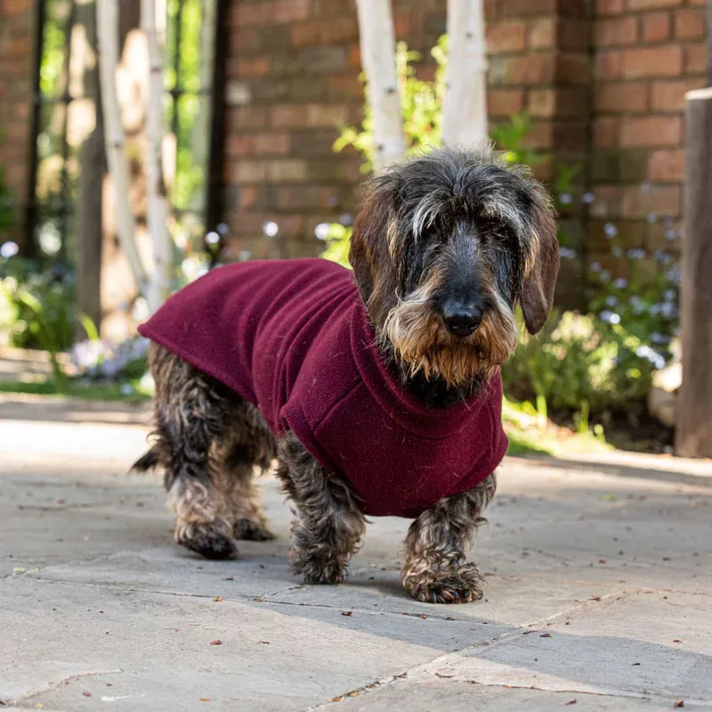 Stix Standard Dachshund Dog Coat-1