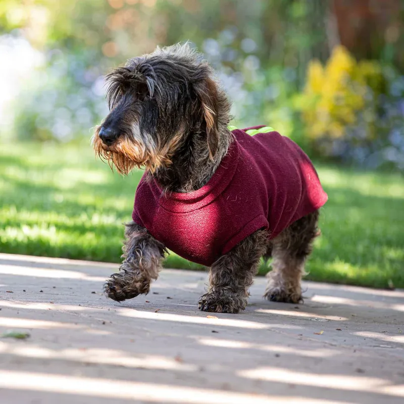 Stix Standard Dachshund Dog Coat