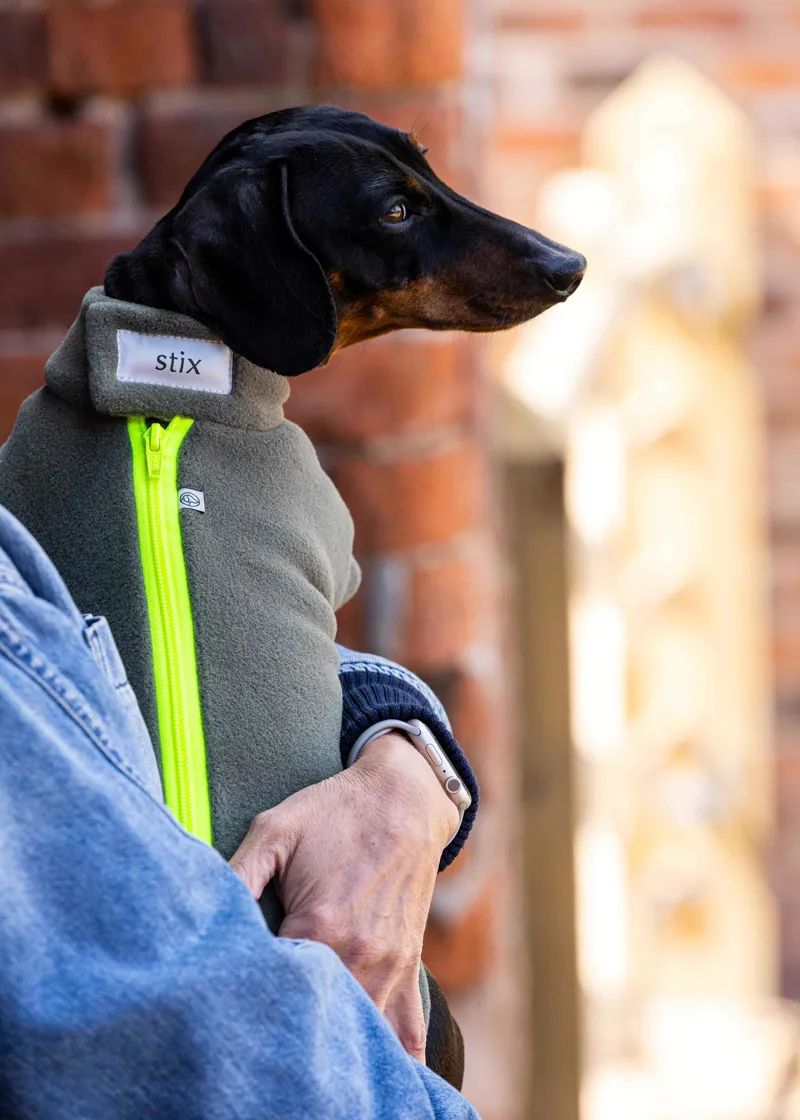 Stix Dachshund Dog Coat-2