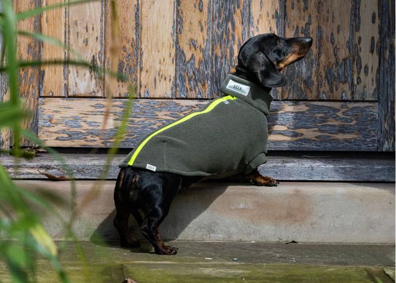 Stix Dachshund Dog Coat