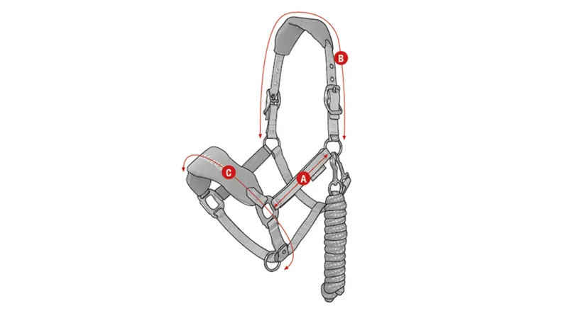 LeMieux Vogue Headcollar and Leadrope Ice Blue-2