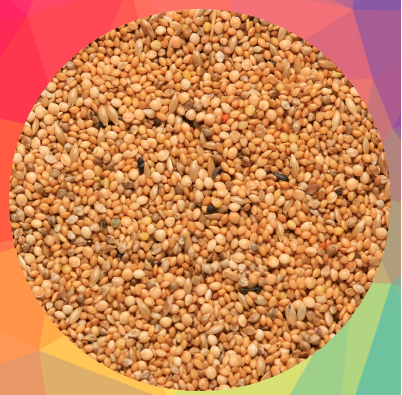 SkyGold Foreign Finch 2kg